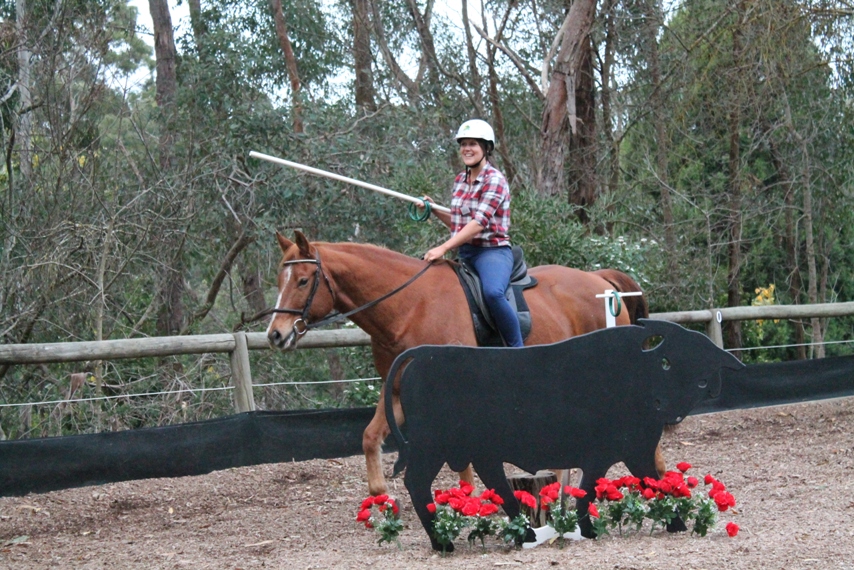 Academy of Dressage and Working Equitation Adelaide Academy of Dressage